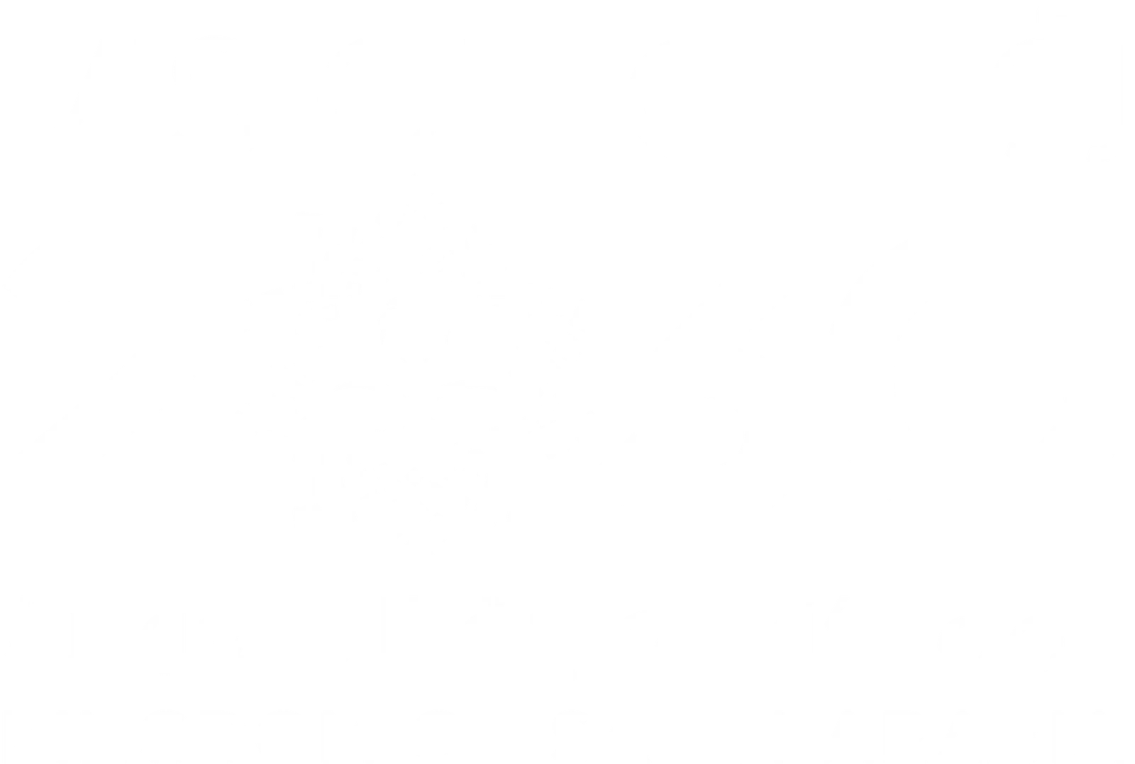 Saudi Vision 2030 Logo